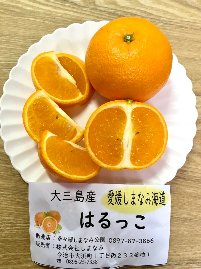 大三島「多々羅しまなみ公園」で購入した「はるっこ」をカット