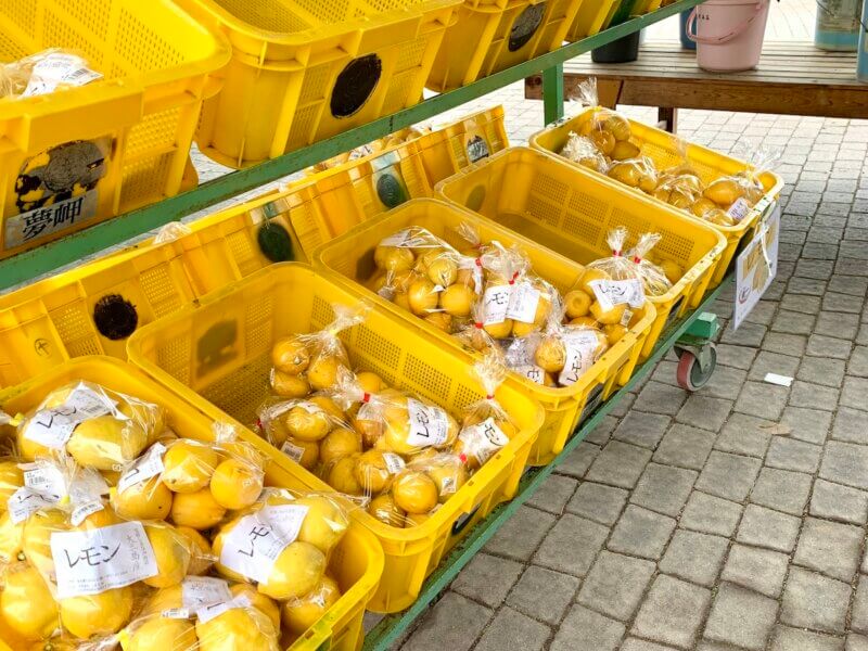 大三島「多々羅しまなみ公園」の屋台市に並ぶたくさんのレモン