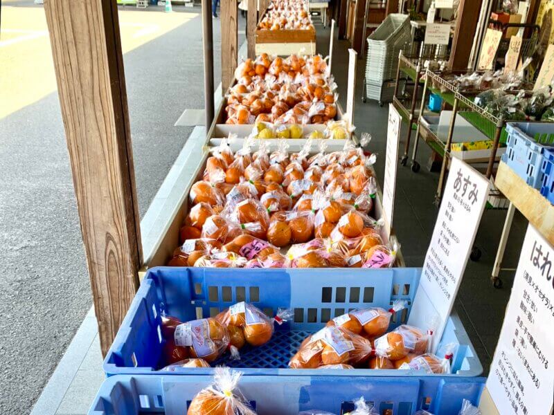 しまなみの駅 御島の店頭に並ぶたくさんの柑橘類