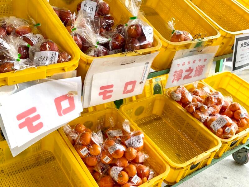 大三島「多々羅しまなみ公園」の屋台市に並ぶたくさんのモロ（ブラッドオレンジ）