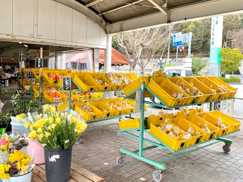 大三島「多々羅しまなみ公園」のふれあい屋台市に並ぶいろいろな柑橘類