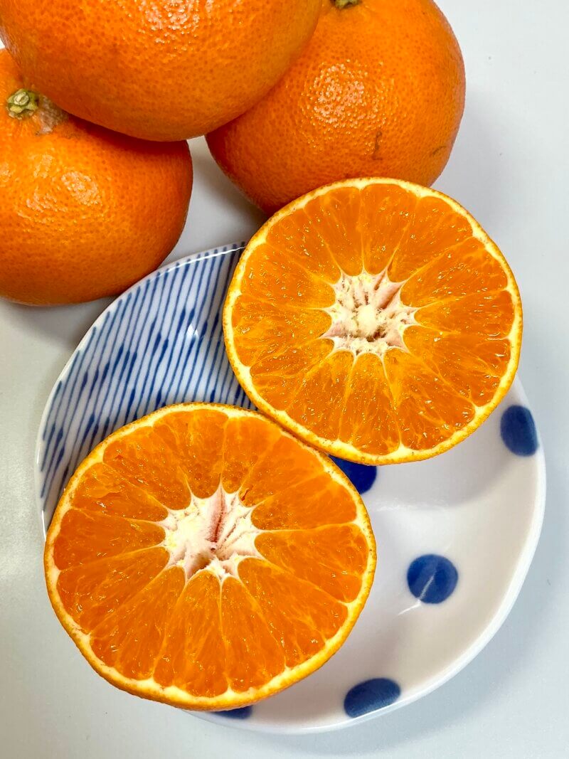 大三島で購入お土産の甘平をカット