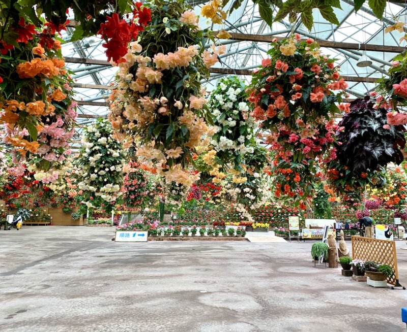 松江フォーゲルパークの入り口すぐの花の大温室の様子