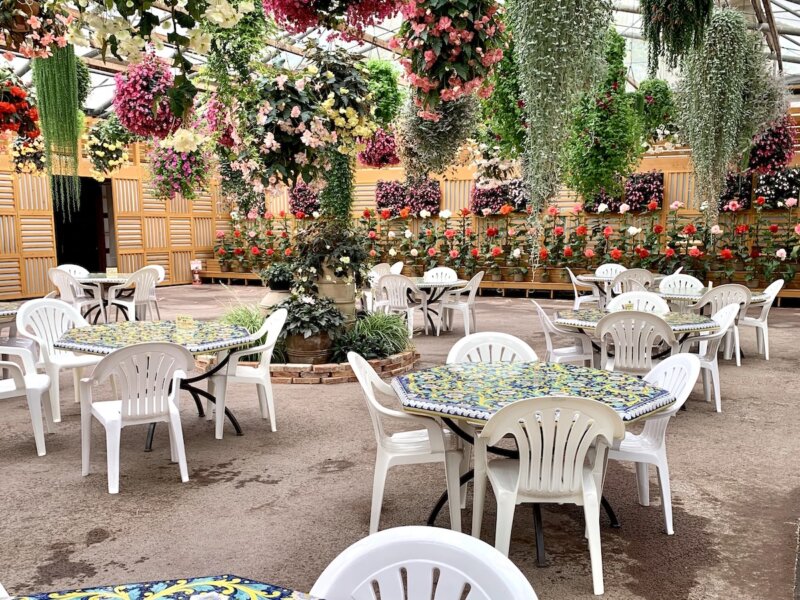 松江フォーゲルパークにあるレストラン フローラの様子