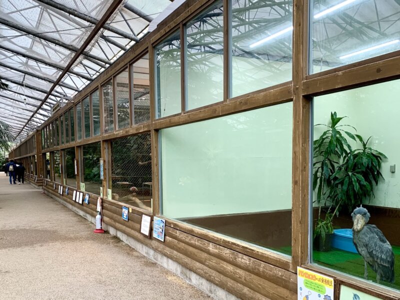 松江フォーゲルパークにある熱帯鳥温室の様子