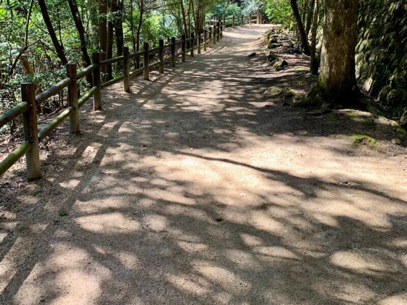 宮島弥山の紅葉谷登山ルートの途中の山道