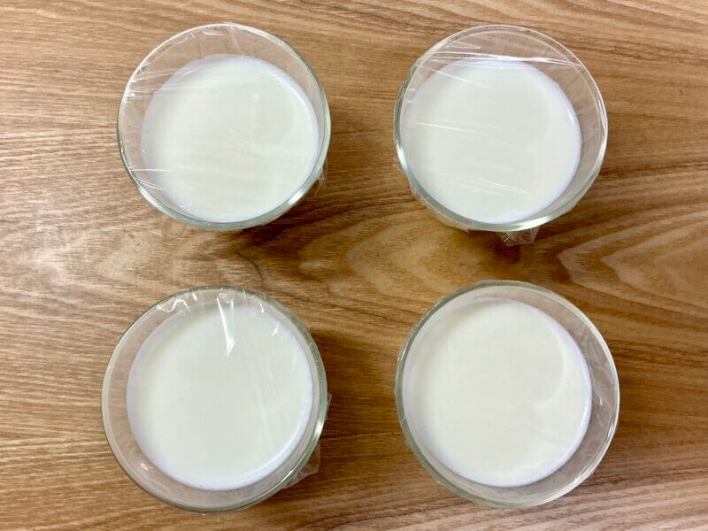 牛乳プリン液を4つの型に流れたところ