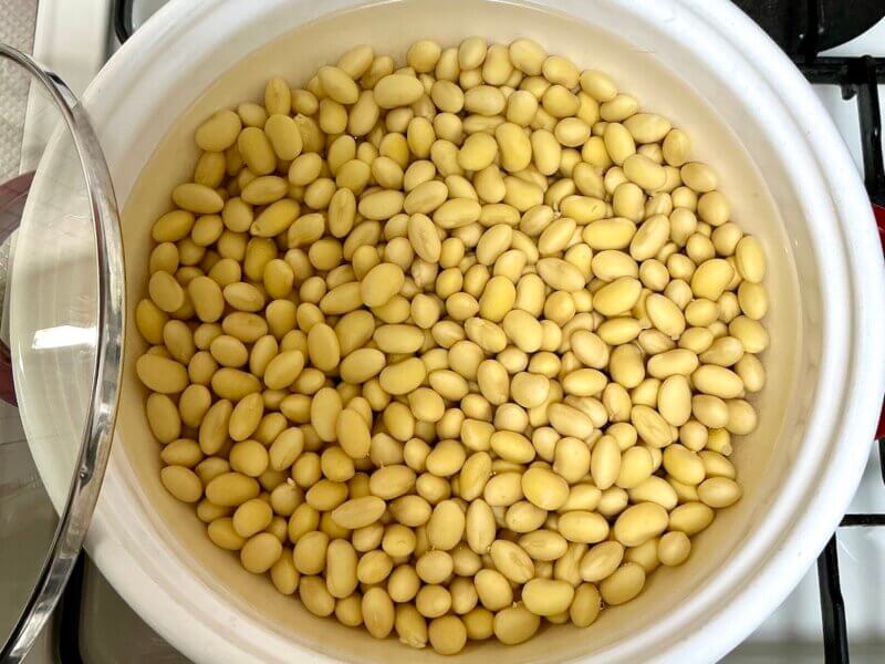 乾燥大豆を水に浸けて9時間後の様子