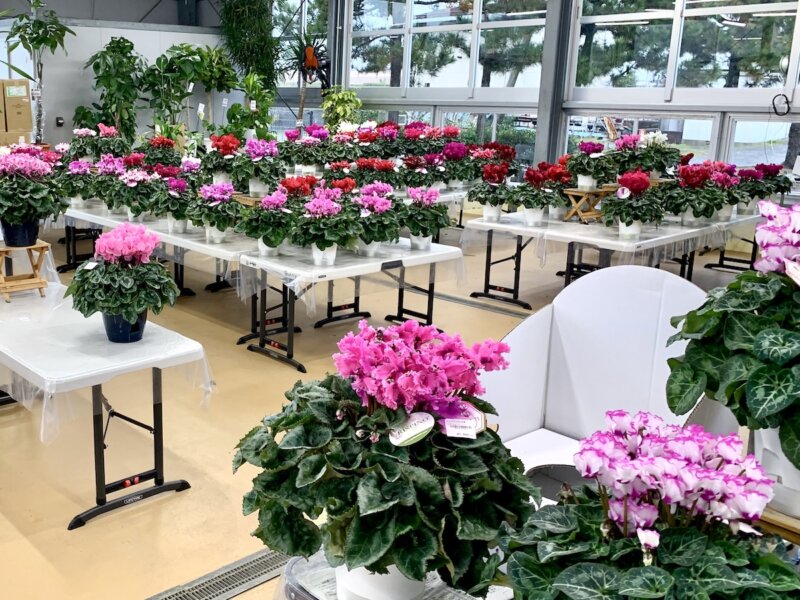 出雲市にある「道の駅 湯の川」施設内にある「花ハウス」