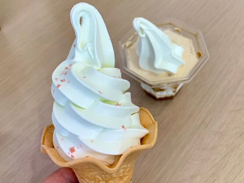 伯方の塩 大三島工場の売店で購入した塩ソフトくりーむとアフォガードを撮った写真